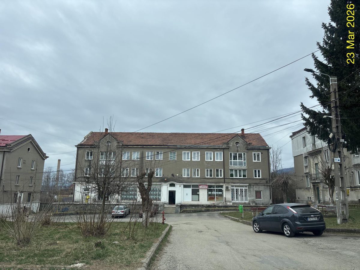 Miniatură 2