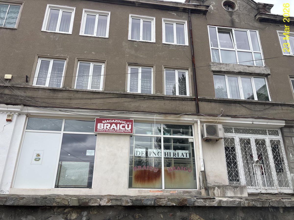 Miniatură 3