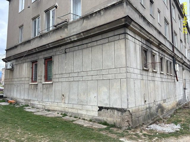 Miniatură 7