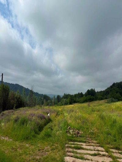 Vie - Extravilan in suprafata de 1710 MP
