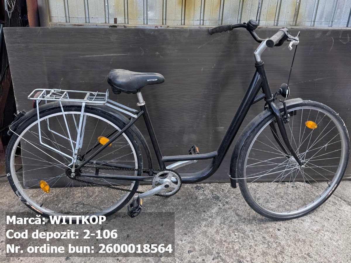 Bicicleta- Wittkop 1
