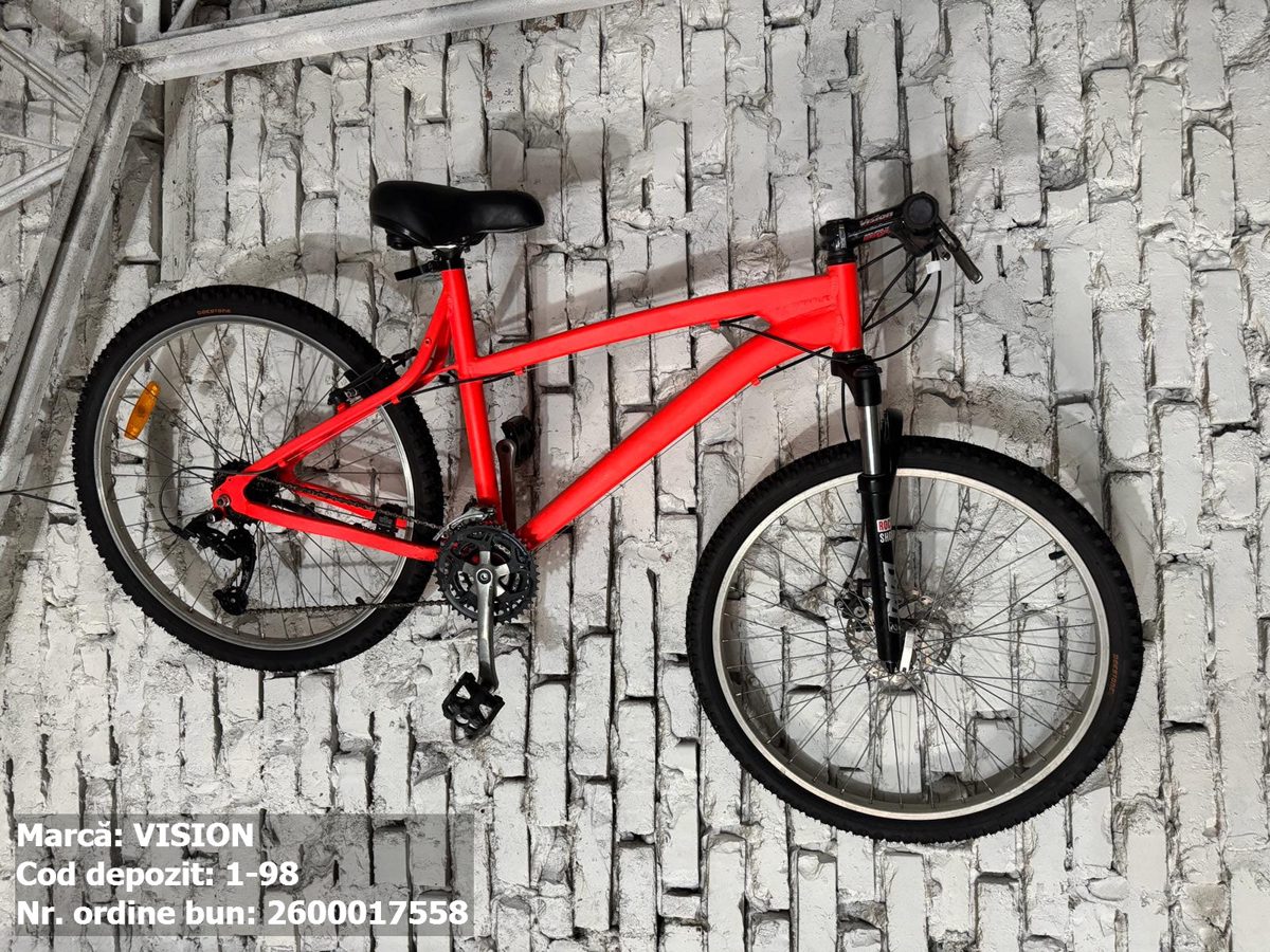 Bicicleta- Vision 1