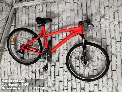 Bicicleta- Vision