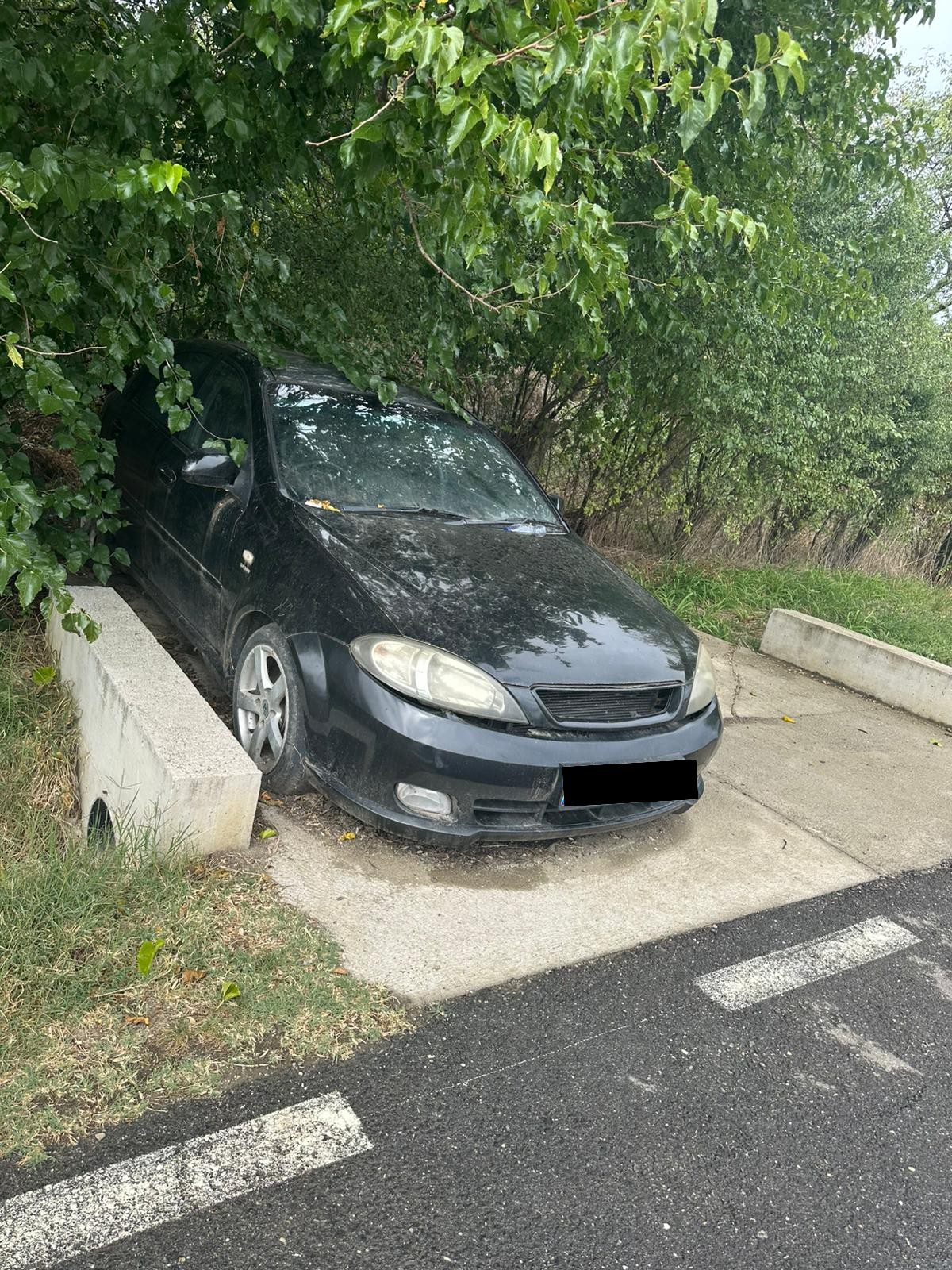 Miniatură 3