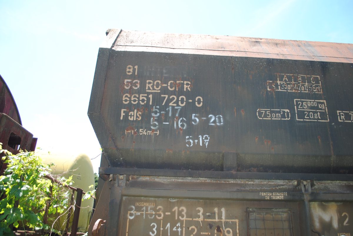 Miniatură 3