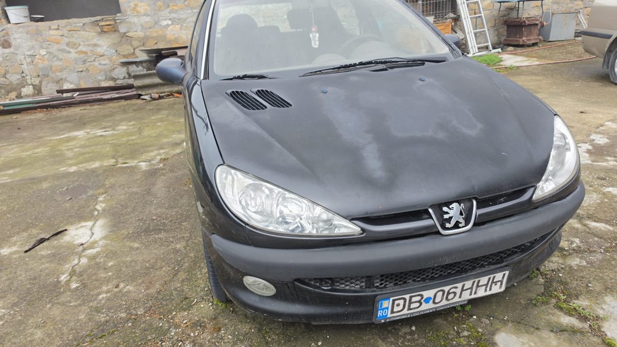 Miniatură 5