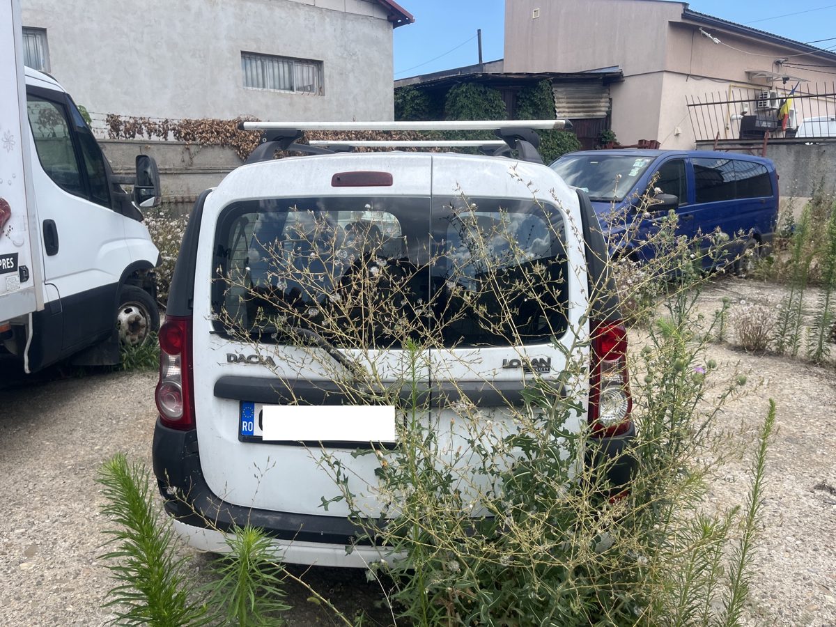 Miniatură 2