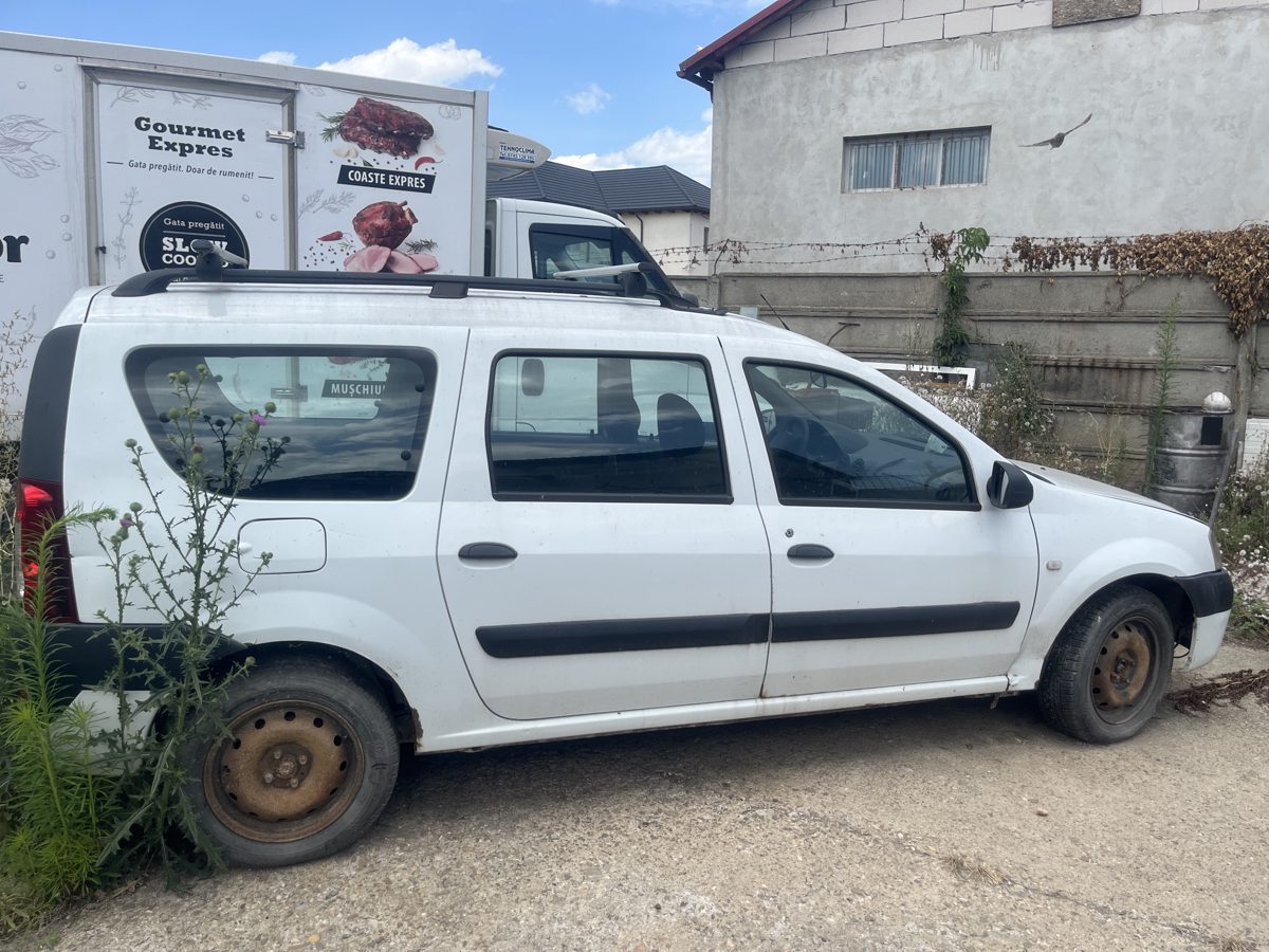 Miniatură 3