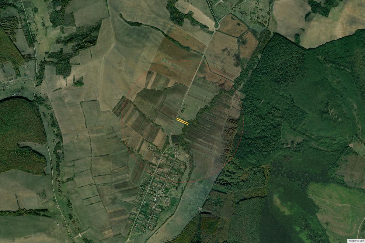 Miniatură 3