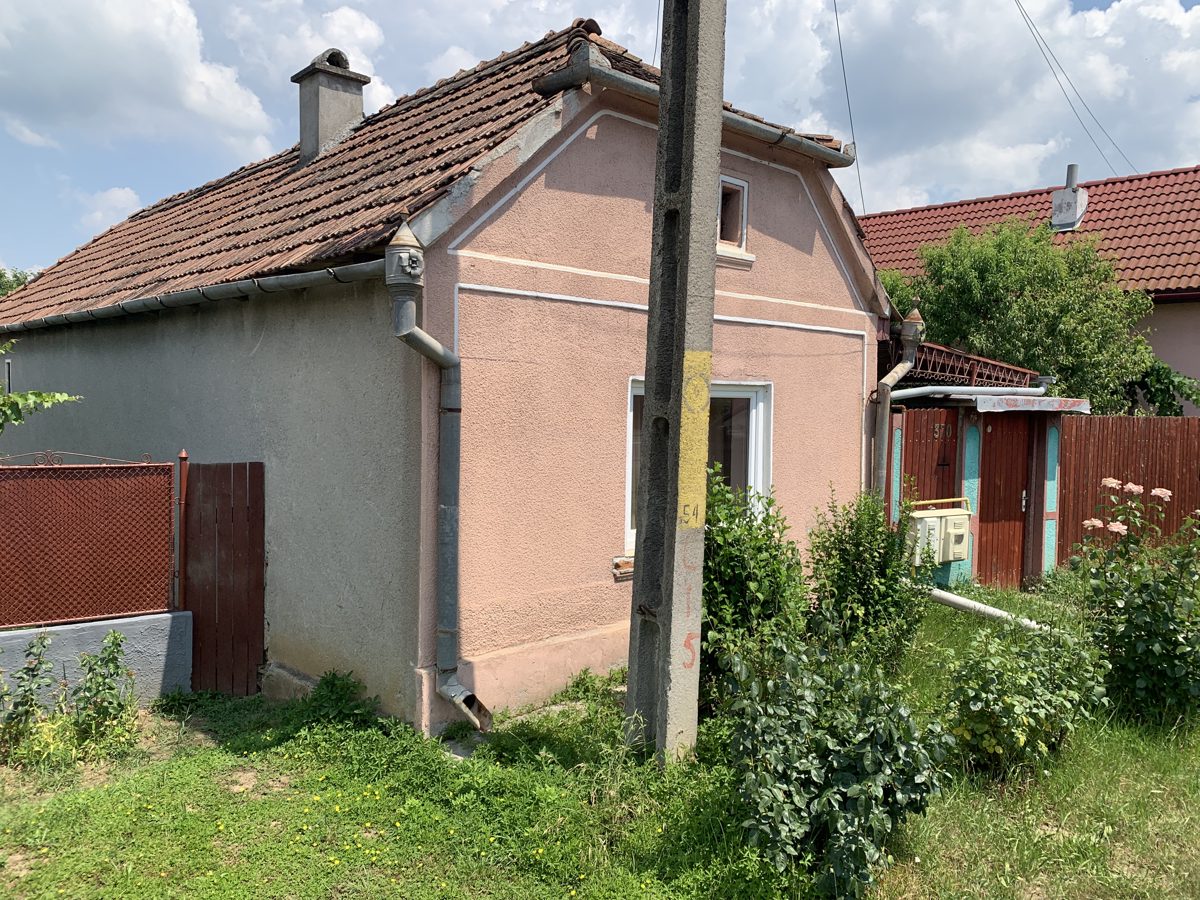 Miniatură 2
