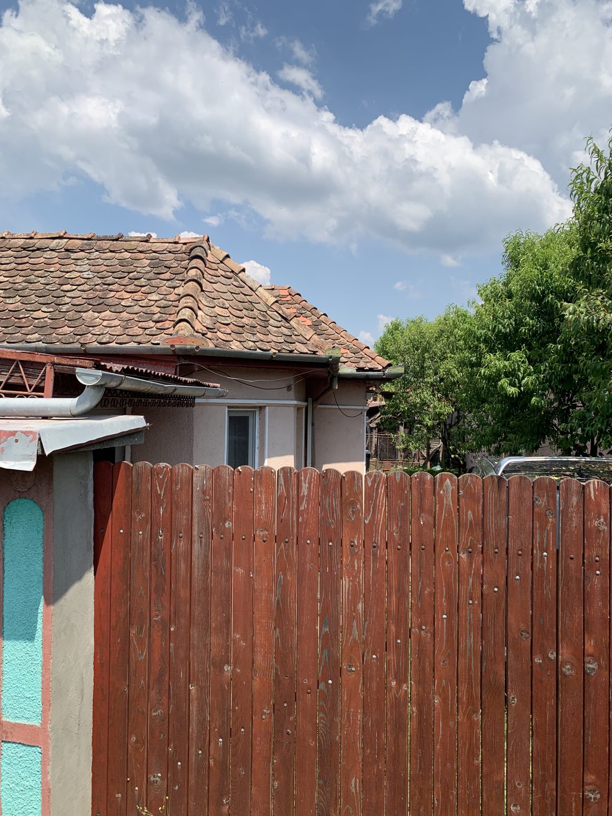 Miniatură 5