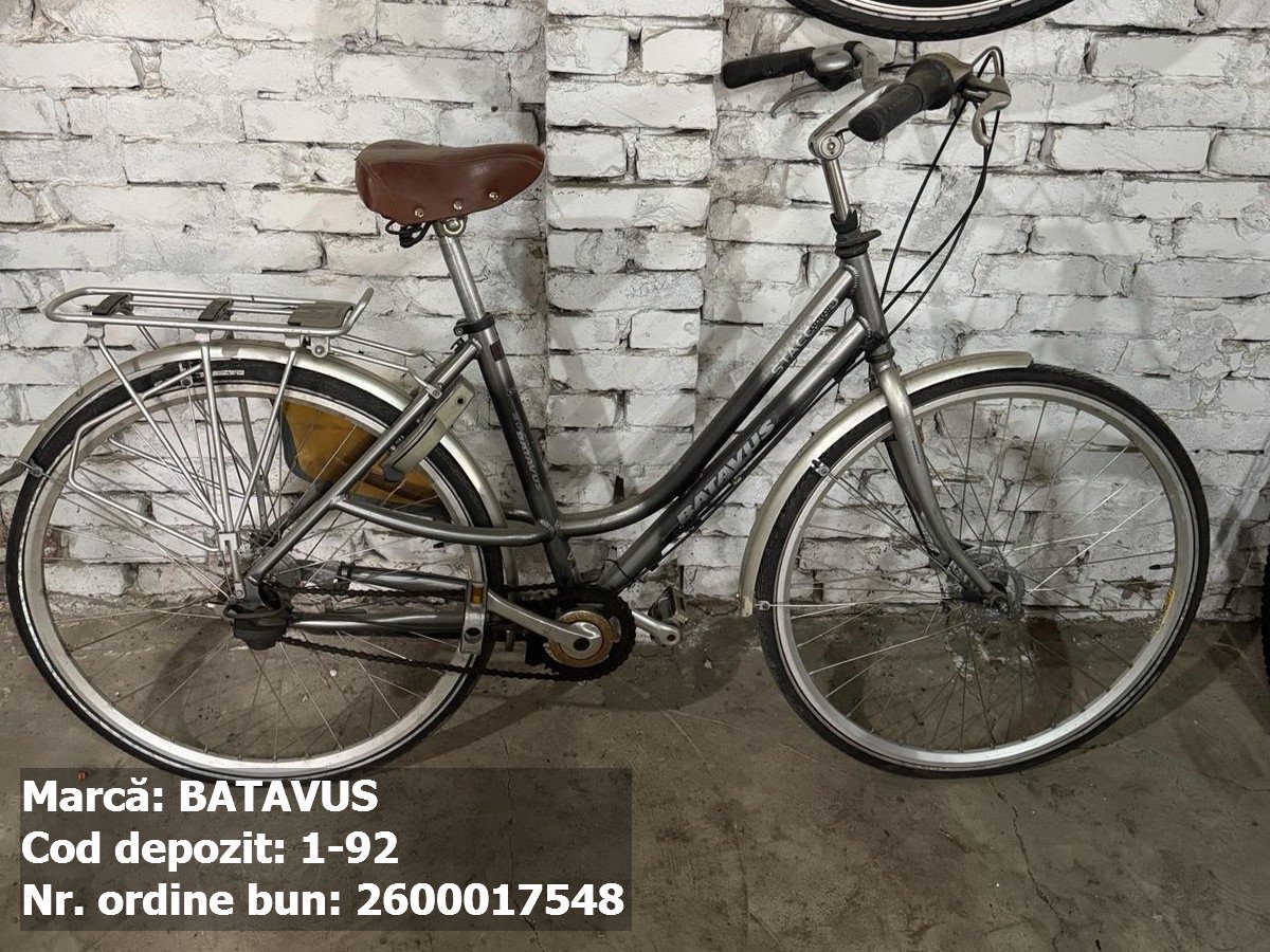 Bicicleta- Betavus 1