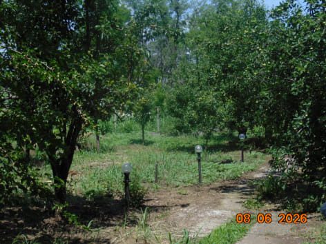 Teren agricol - in suprafata de 1000 MP 1