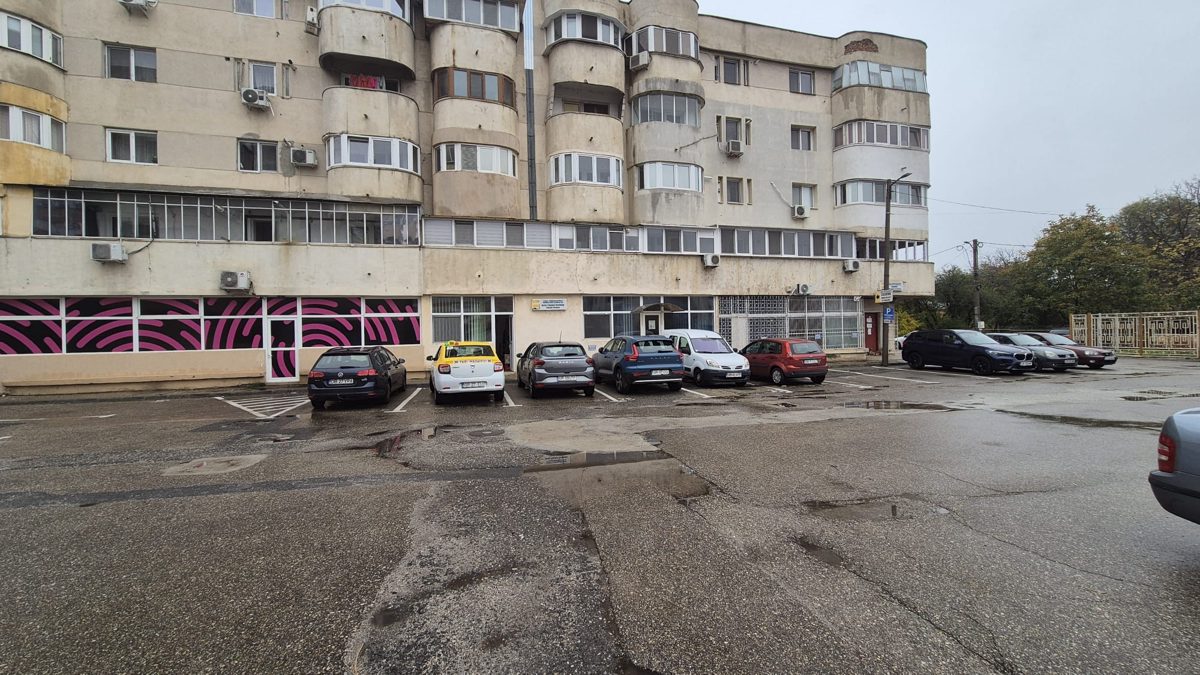Miniatură 2