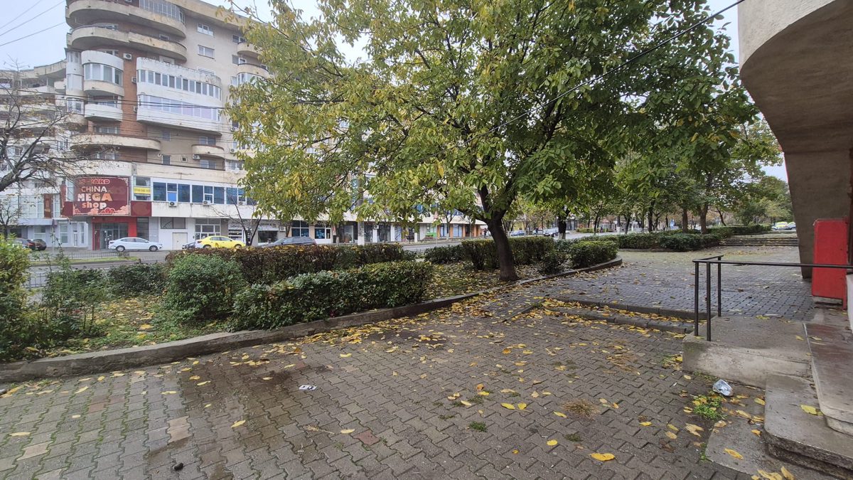 Miniatură 6