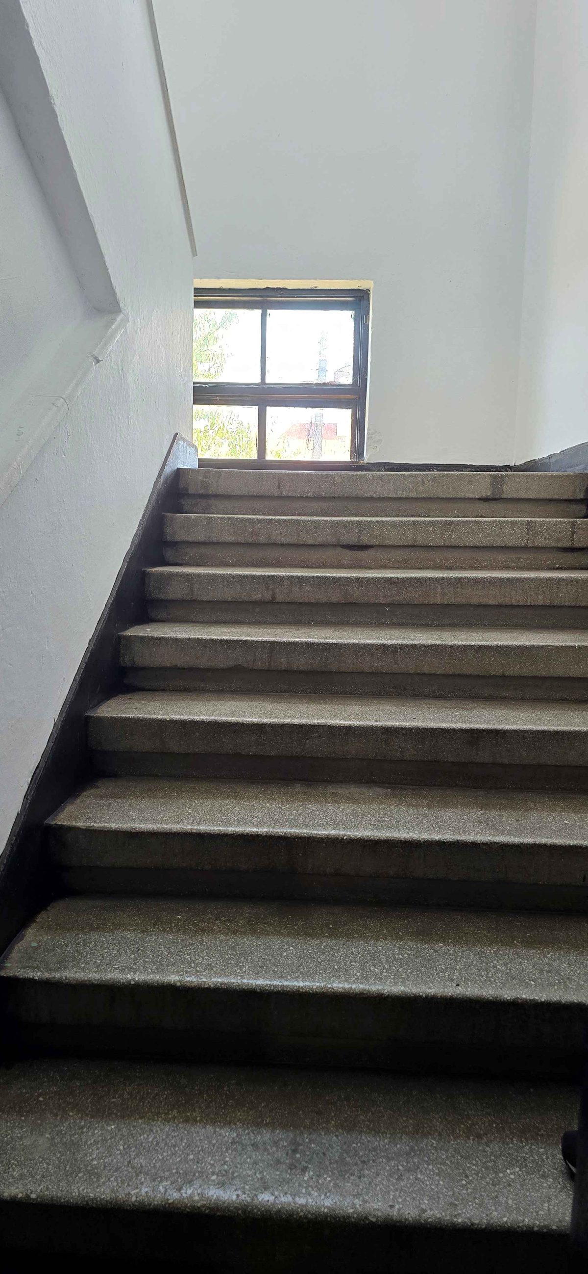 Miniatură 6