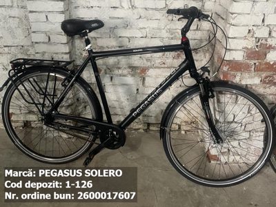 Bicicleta- Pegasus Solero
