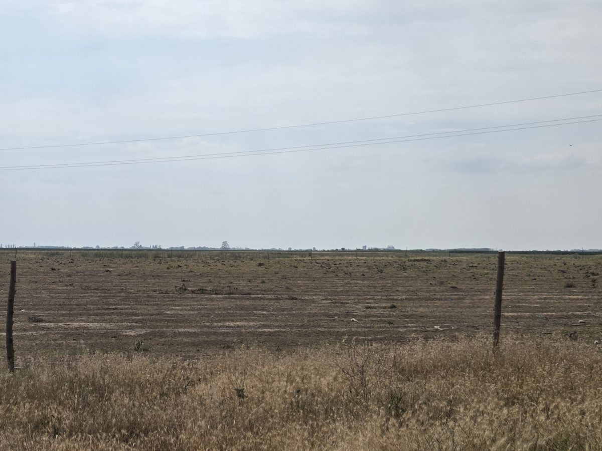 Teren Extravilan-păsune in suprafata de 7900 Metru patrat 1