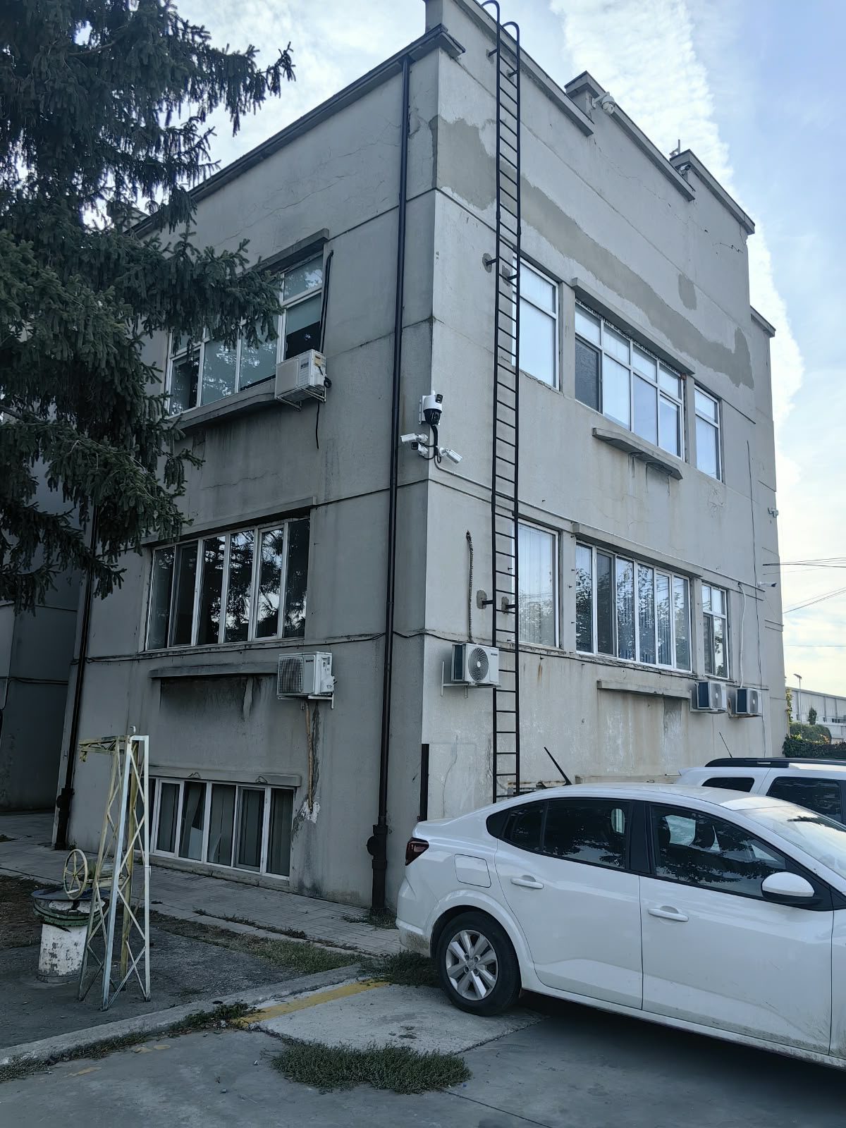 Miniatură 5