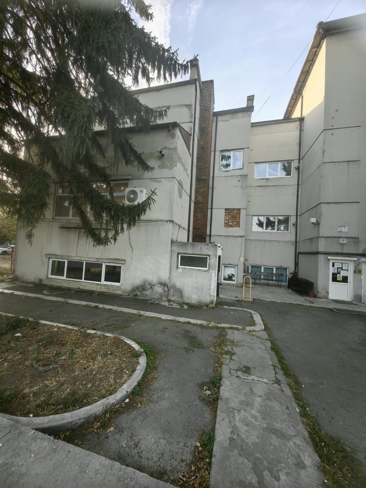 Miniatură 8