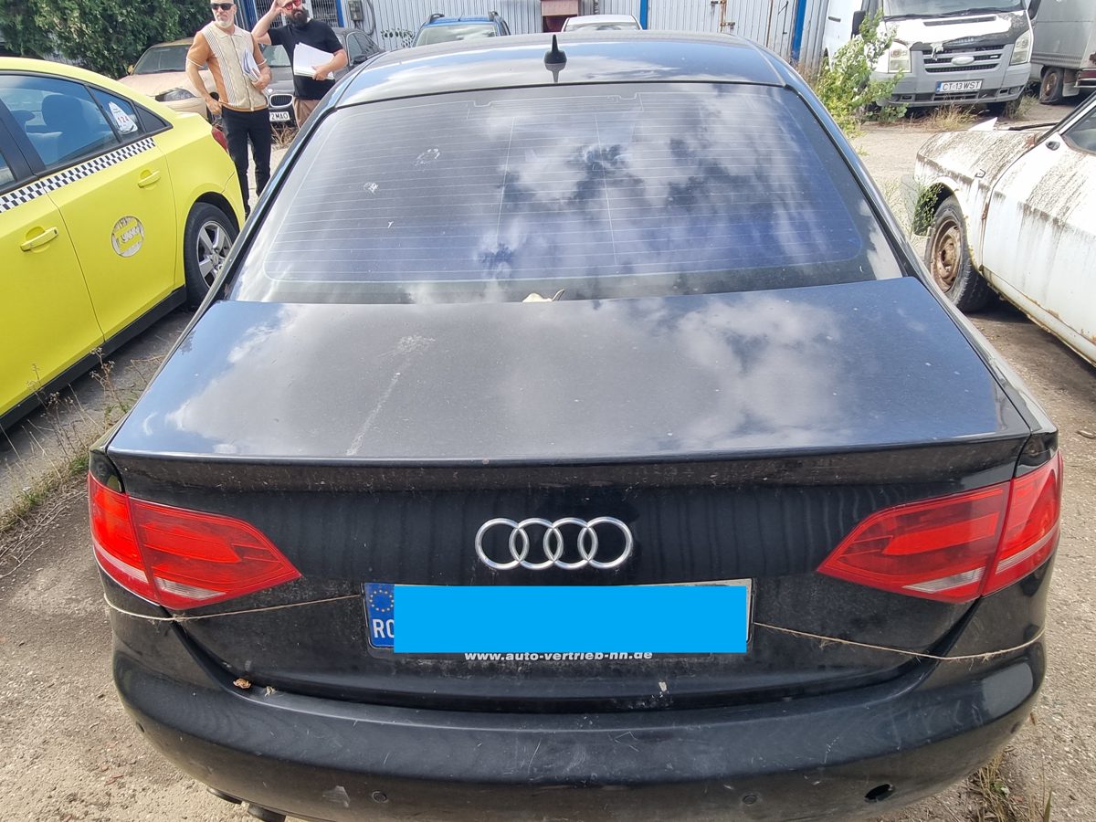 Miniatură 6