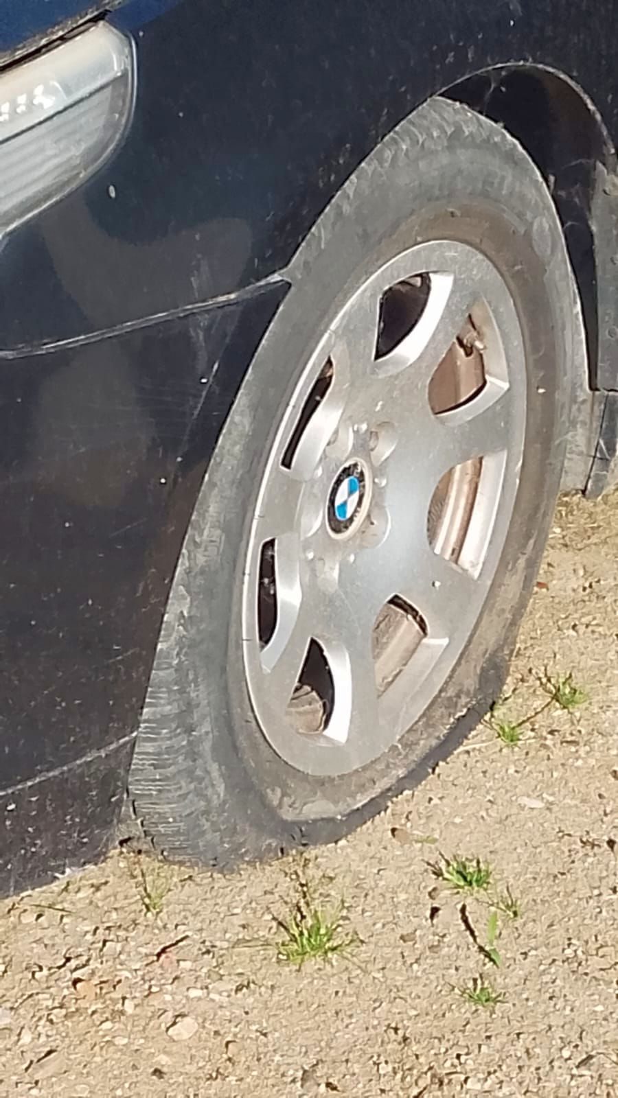 Miniatură 5