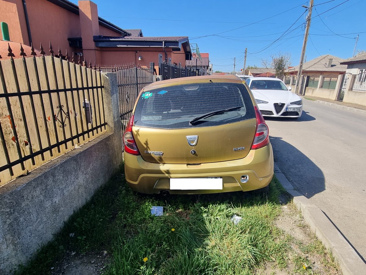 Miniatură 3