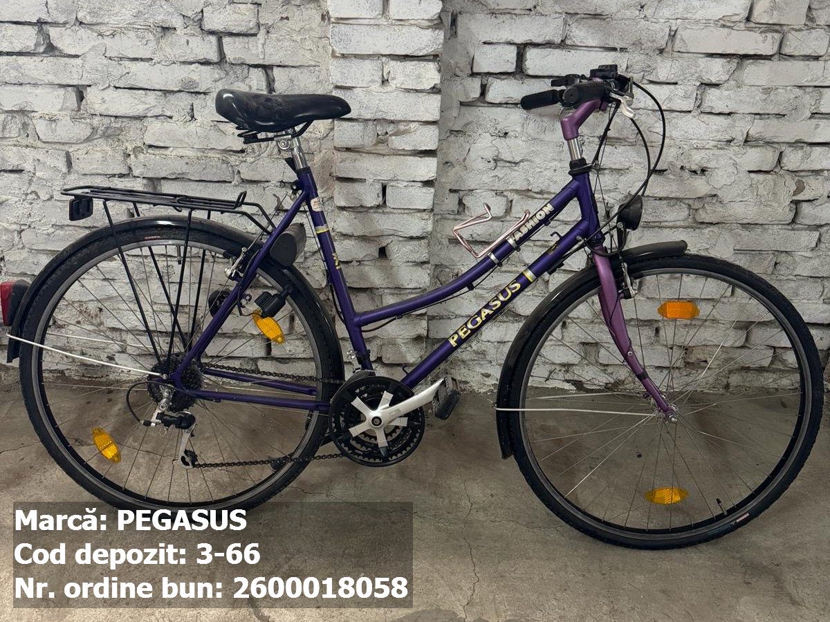 Bicicleta- Pegasus 1