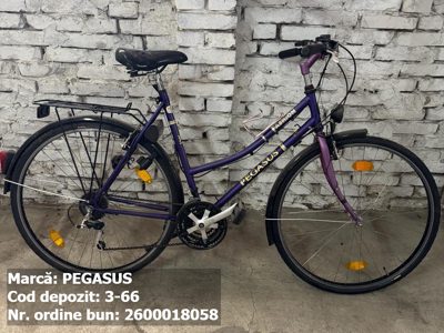 Bicicleta- Pegasus