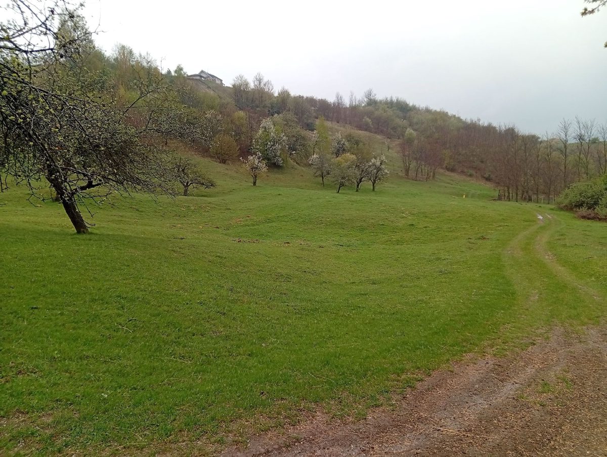 Cota de 1/3 din teren intravilan in supr. totala de 12500 m.p. situat in loc. Breaza, jud. Prahova 1