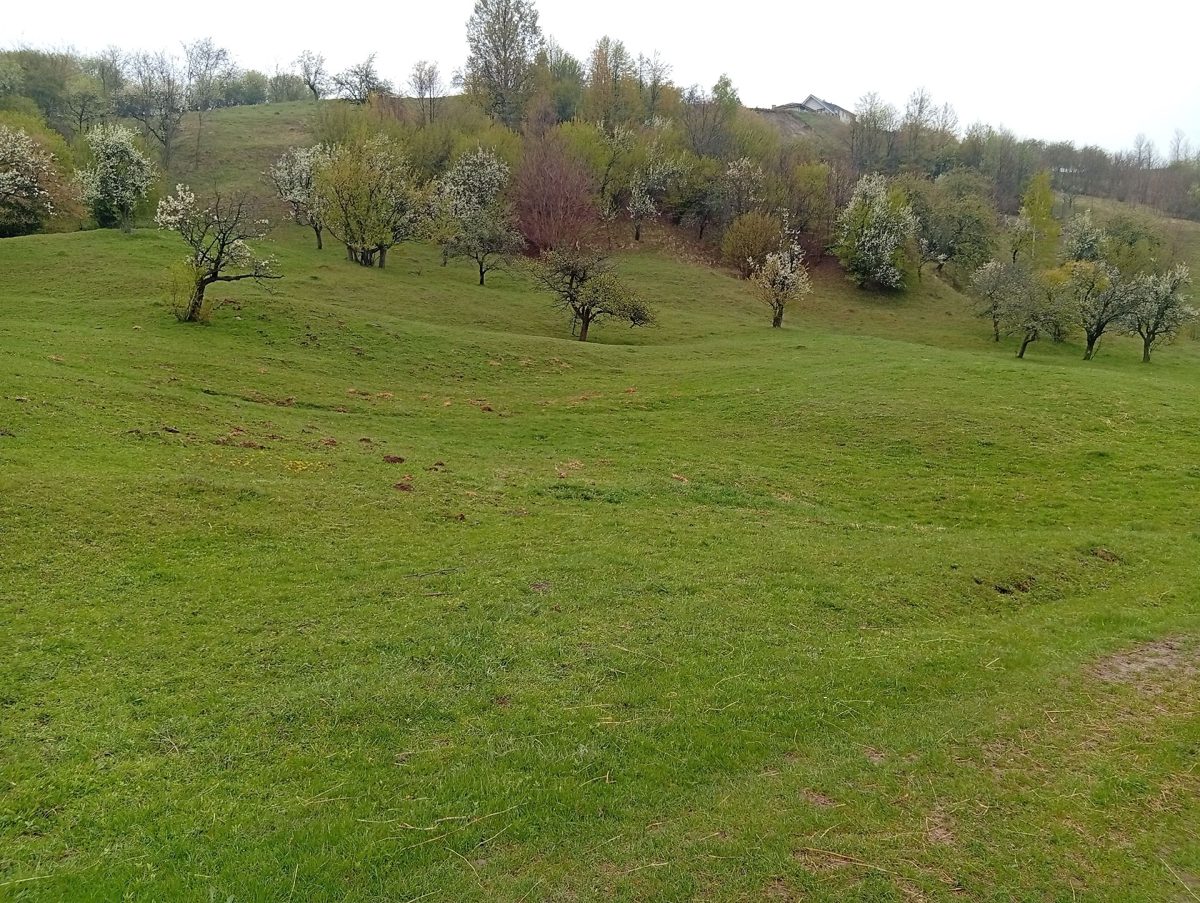 Miniatură 2