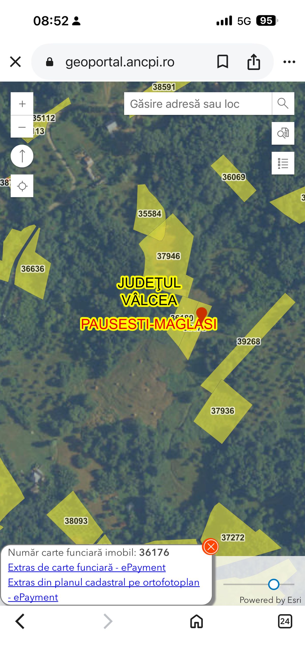 Miniatură 4