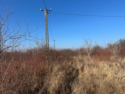 Teren extravilan (arabil) - in suprafata de 2750 MP Timisoara