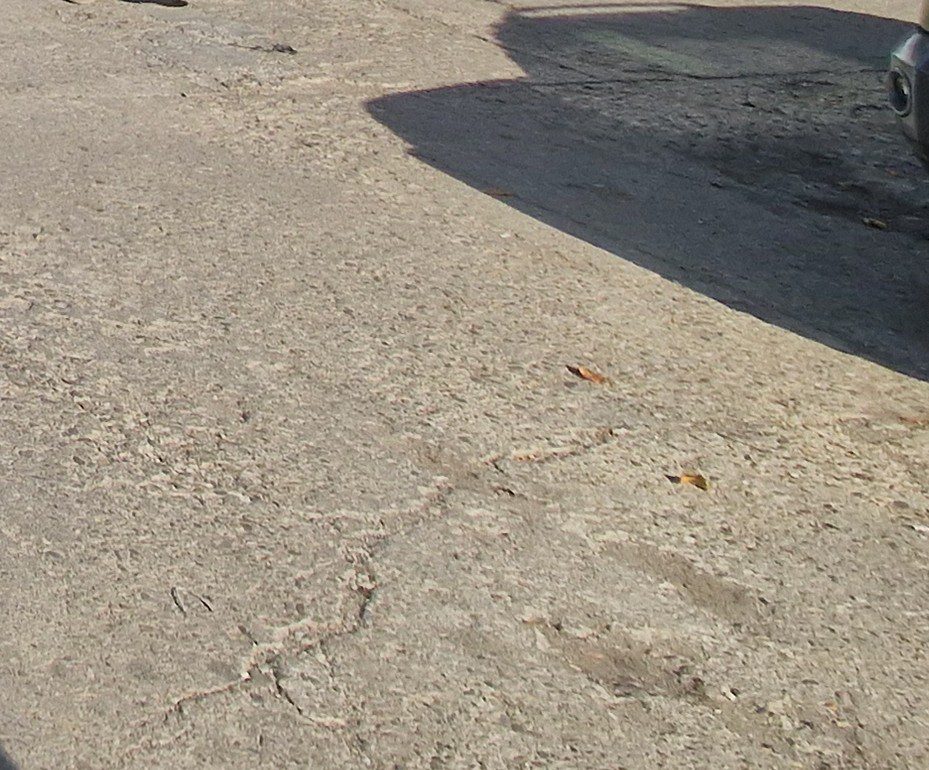 Miniatură 3