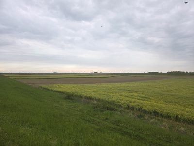 Cota de 1/2 din teren extravilan in suprafata de 2900 MP situat in com. Odoreu, jud. Satu Mare