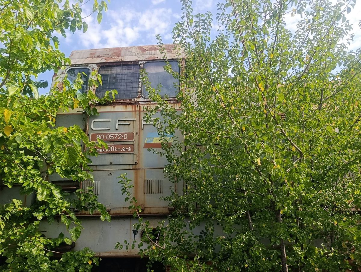 Miniatură 2