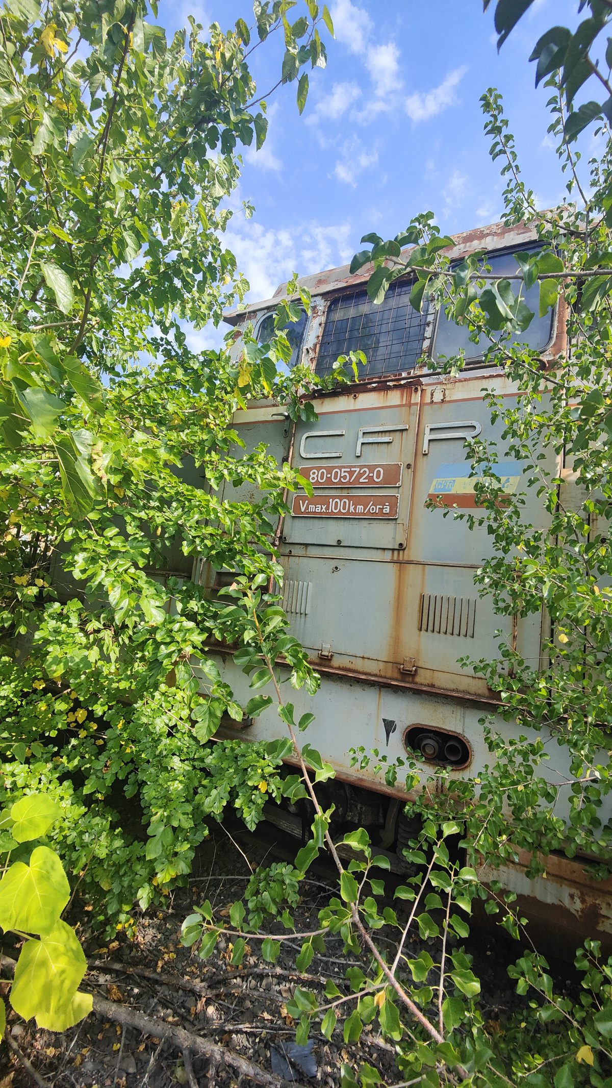 Miniatură 3