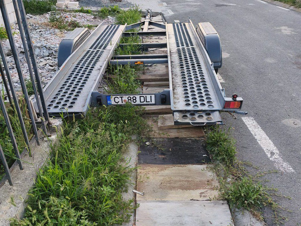 Miniatură 7