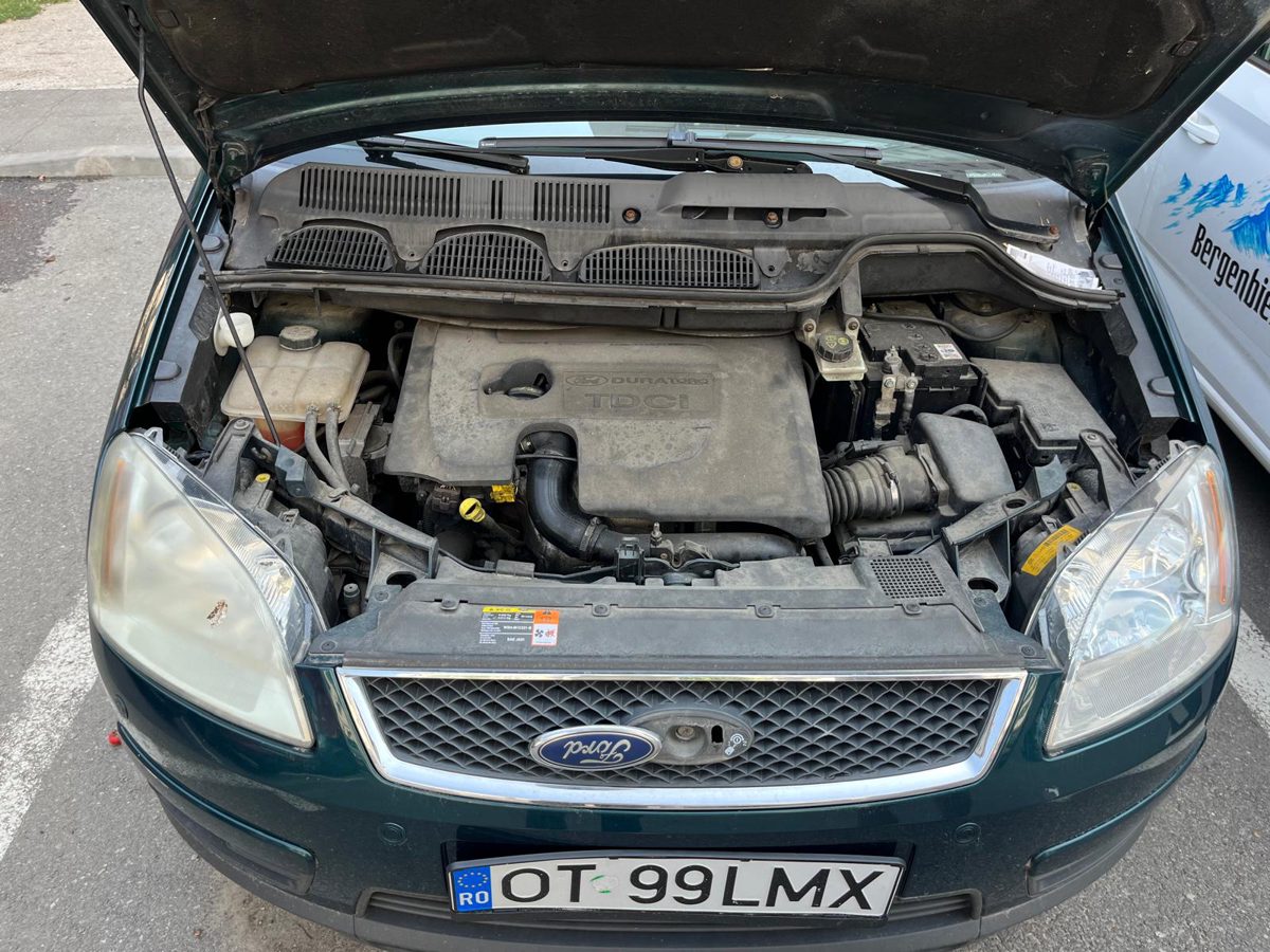 Miniatură 6