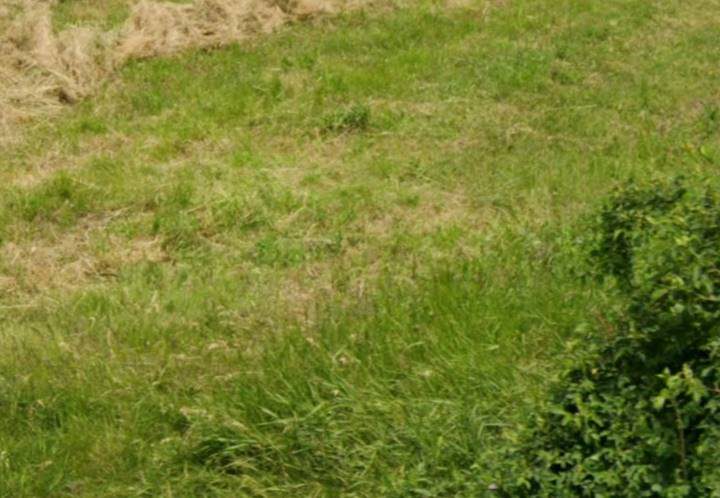 Teren agricol - extravilan in suprafata de 960 MP 1