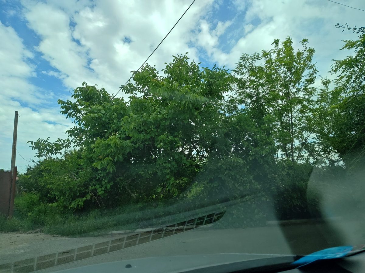 Miniatură 2
