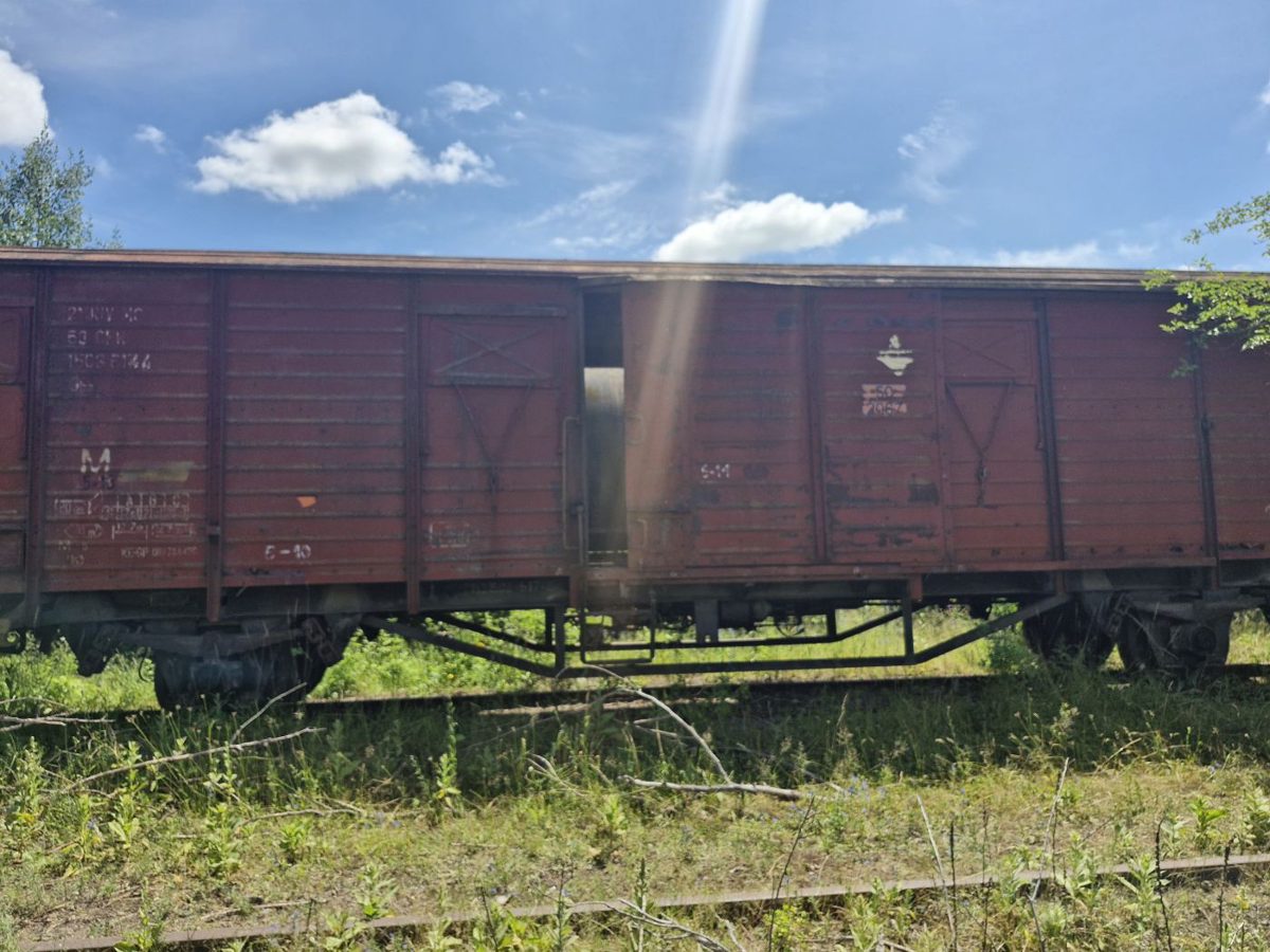 Miniatură 6