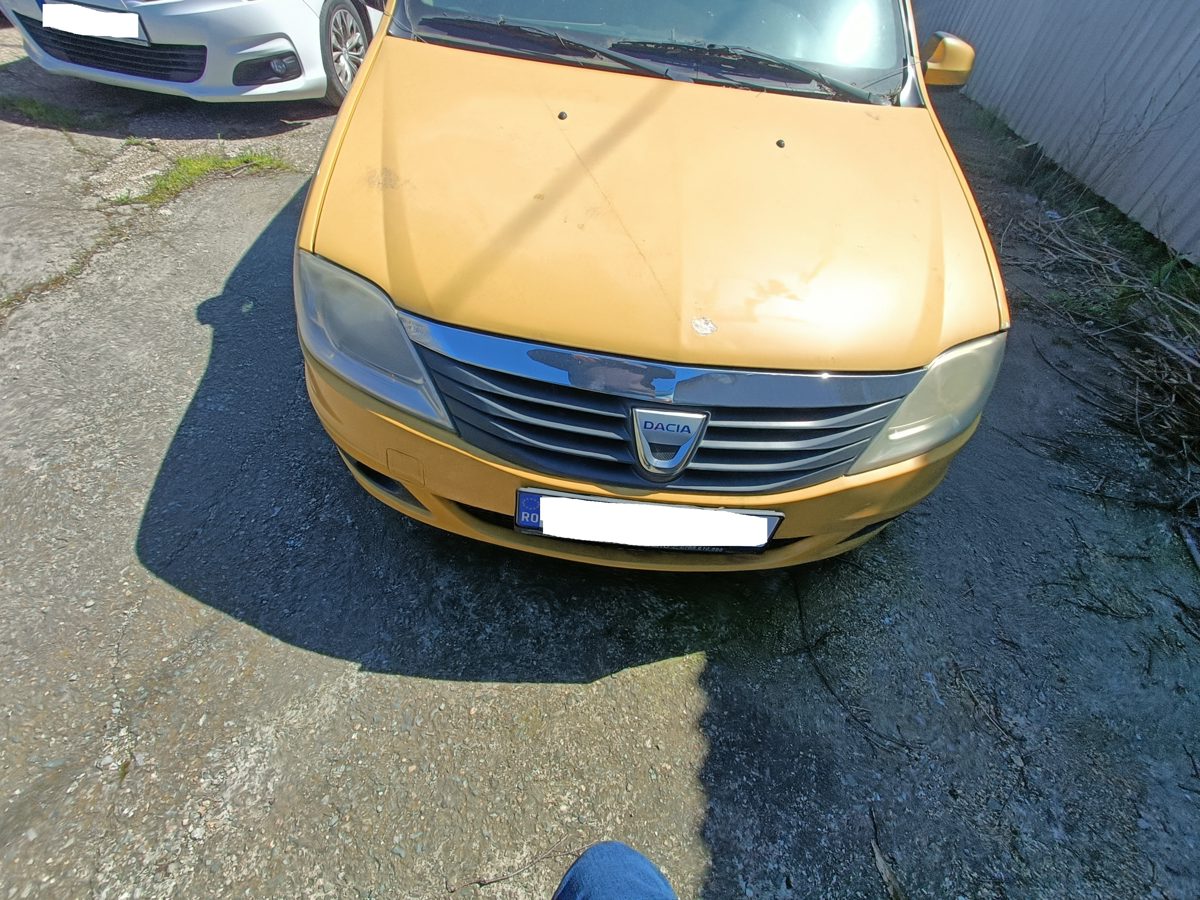 Miniatură 3