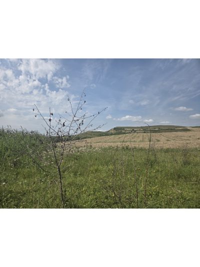 Teren extravilan categorie folosinta arabil