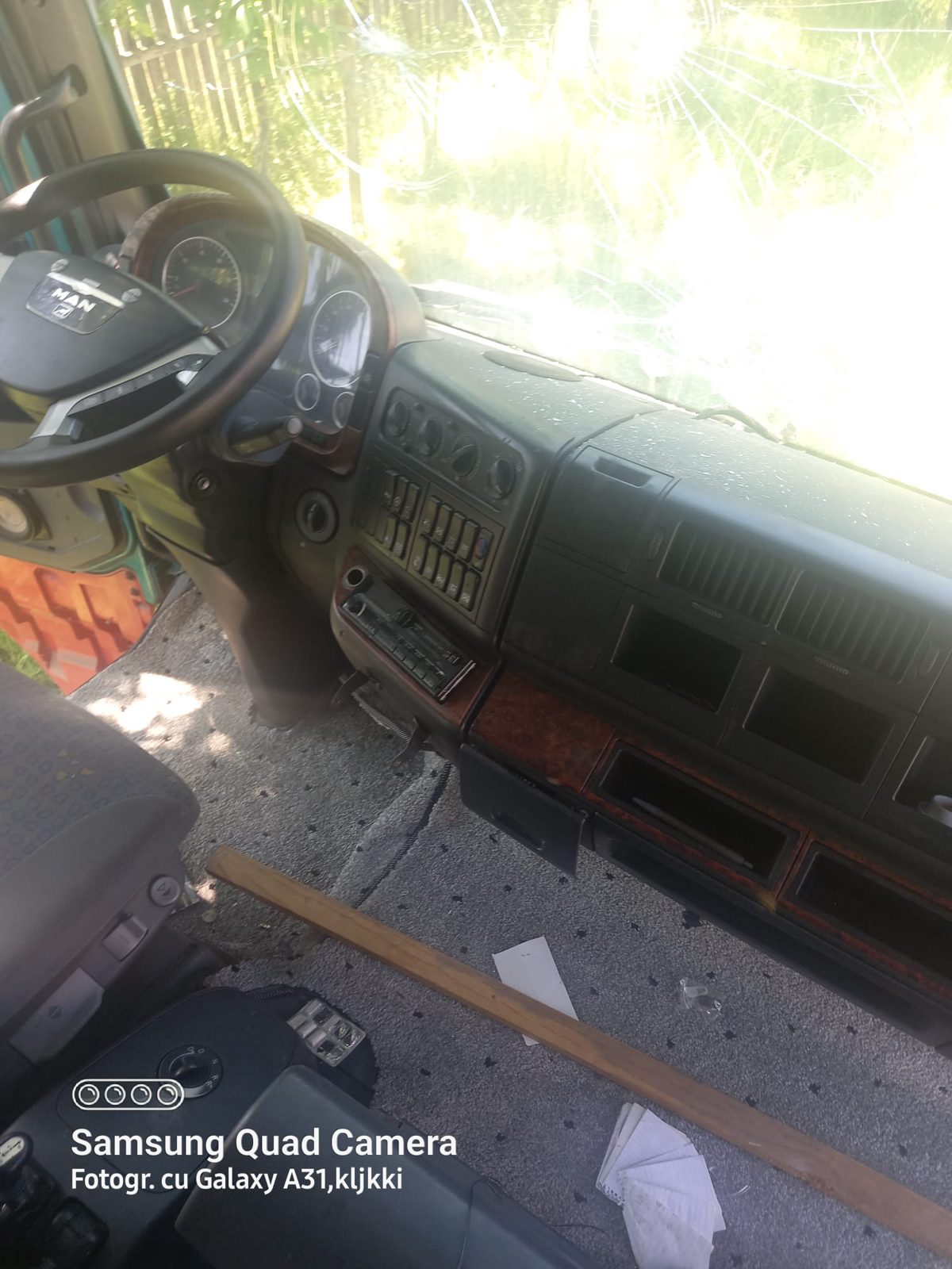 Miniatură 3
