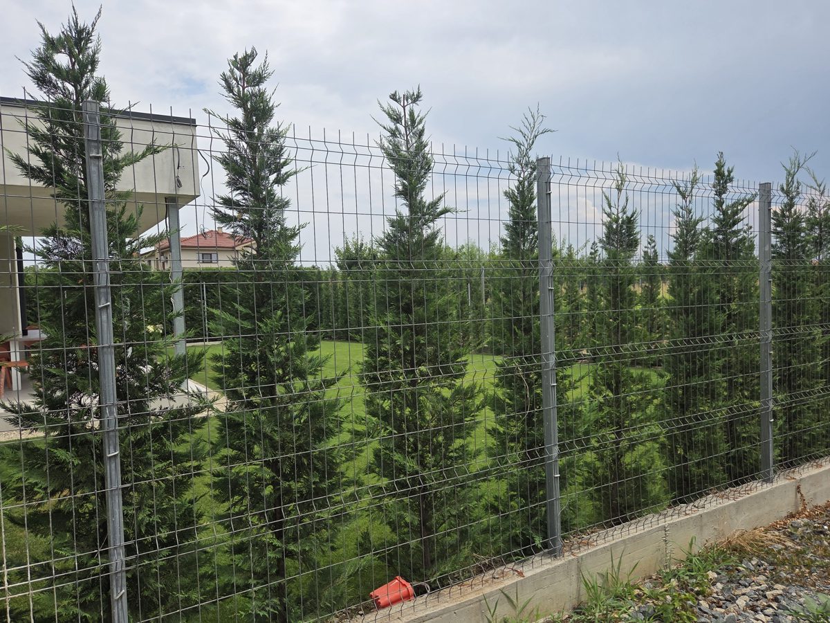 Miniatură 5