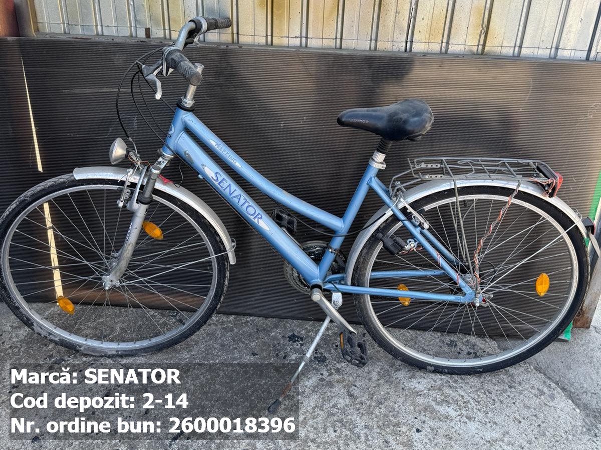 Bicicleta- Senator Trekking 1