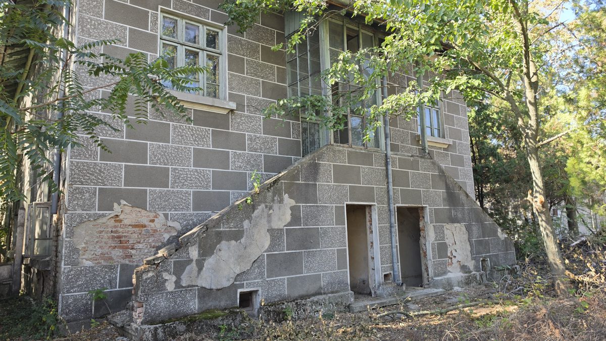 Miniatură 12