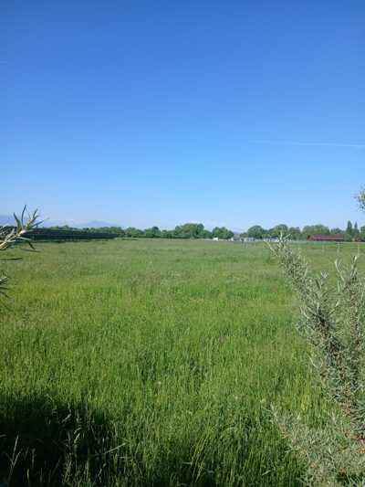 Imobil situat in extravilanul Com CHICHIS JUD COVASNA ,incris in CF nr. 25268 a loc. Băcel