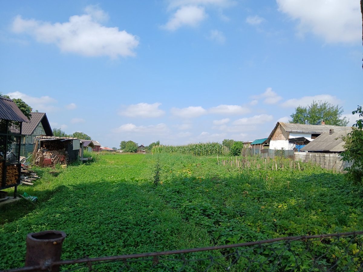 Miniatură 3
